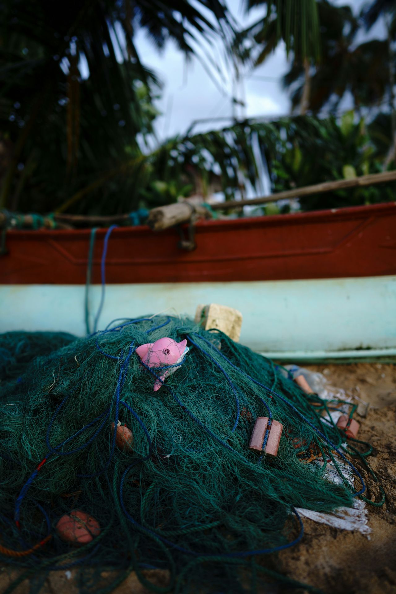 Photo: biodegradable film in the field